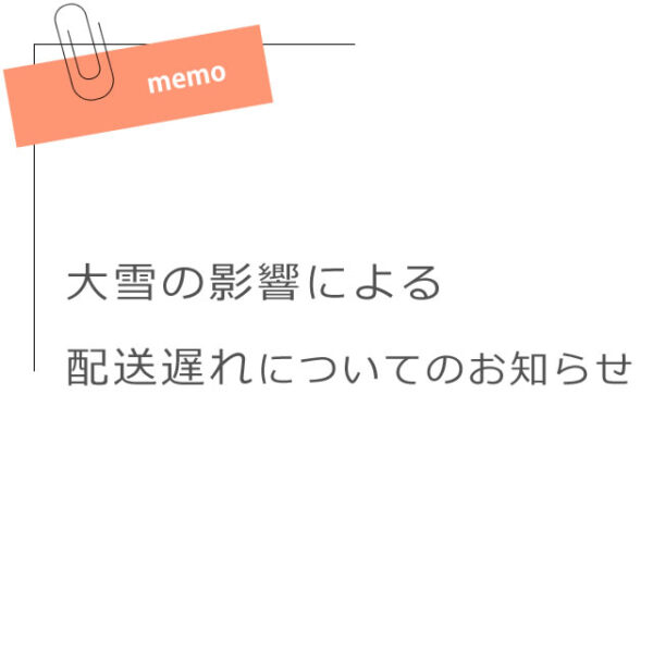 大雪の影響によるお荷物のお届け遅延について