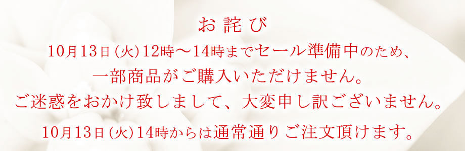セール対象商品 | nail for all